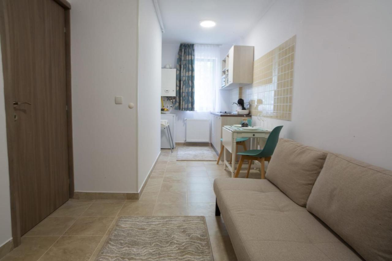 Vlad Apartments -Colina Marei Σινάια Εξωτερικό φωτογραφία